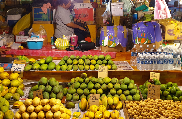 코타키나발루 럭셔리 스냅 투어 / 시티 & 선셋 투어 (마사지 90분 포함)