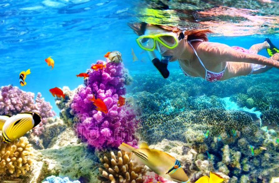 [트리쉐이드] 세부 공항 요트호핑팩 (공항 픽업 + 요트 호핑)