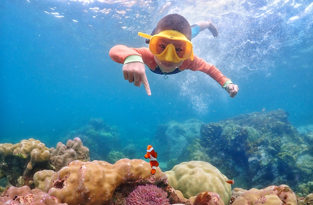 파타야 니모섬 스노클링 투어 (파타야 출발)