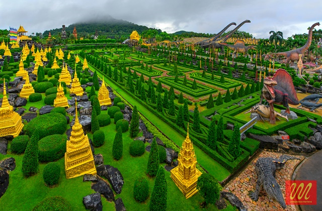 파타야 니모섬 원데이 단독 투어 (방콕 출발)