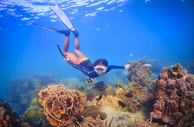 파타야 니모섬 원데이 단독 투어 (방콕 출발)