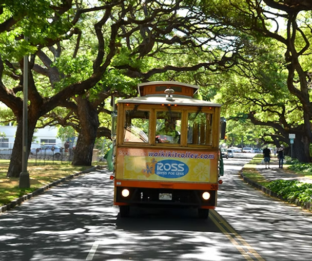 activity_detail_image