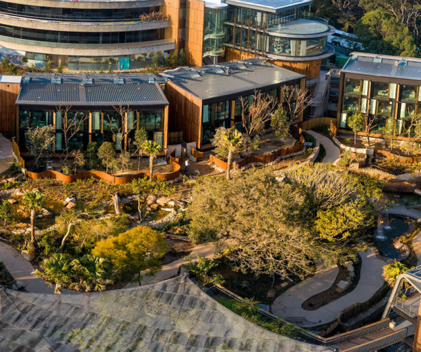 activity_detail_image