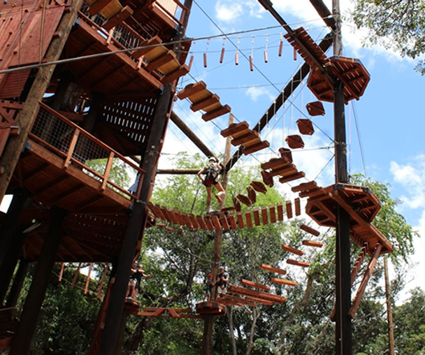 activity_detail_image