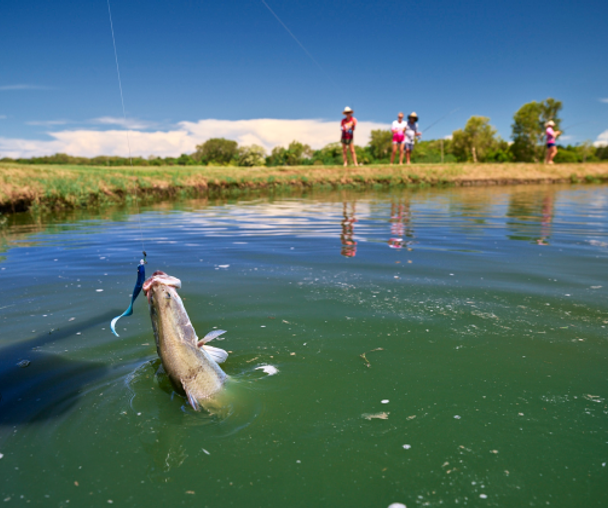 activity_detail_image