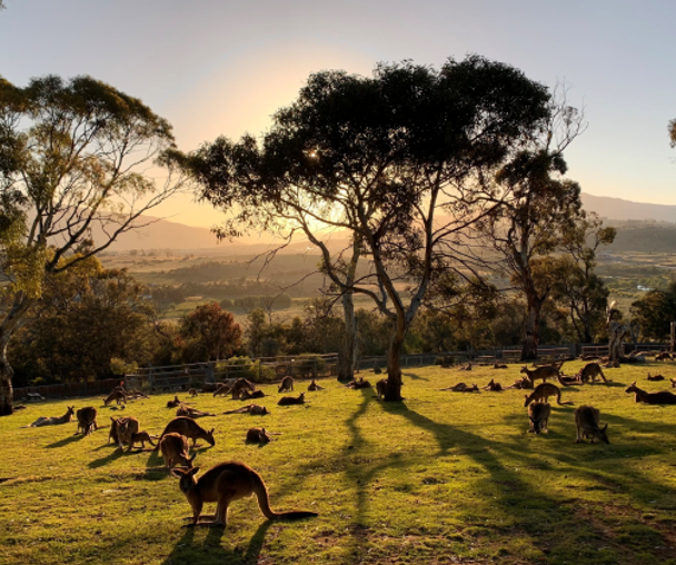 activity_detail_image