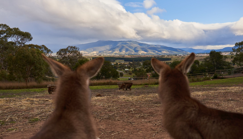 ボノロング野生動物保護区チケット