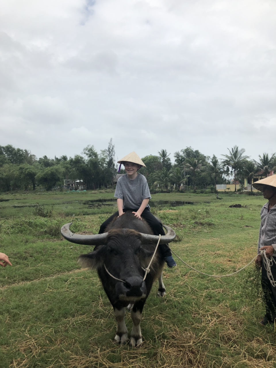 리얼 로컬 다낭 & 호이안 시티 투어