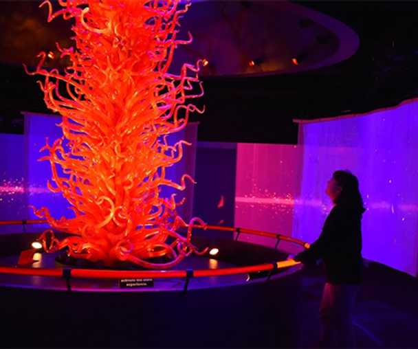 activity_detail_image