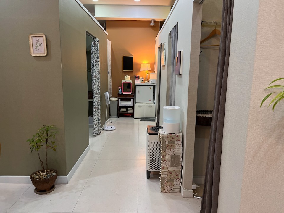 서현가뿐마사지 분당서현점