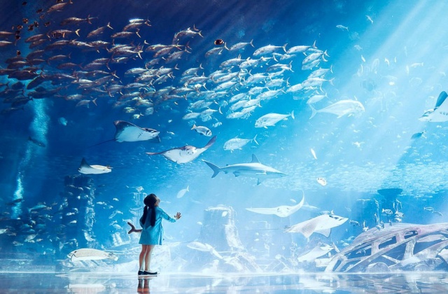 Dubai: Atlantis Aquaventure Waterpark + The Lost Chambers Aquarium Combo Ticket