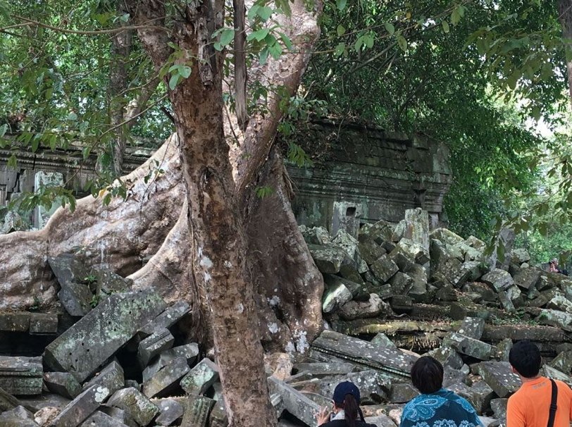 씨엠립 룰루오스, 뱅밀리아 & 톤레삽 선셋 투어