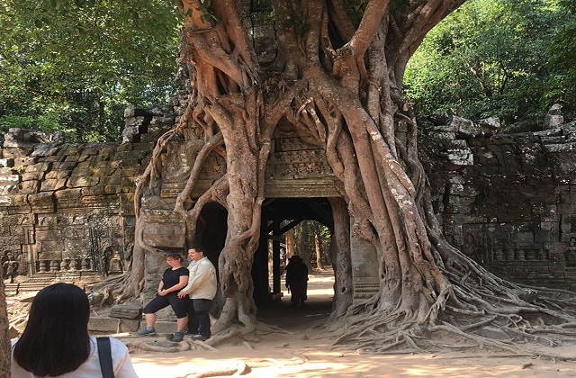 씨엠립 앙코르톰 사원 5곳을 모두 만나는 투어