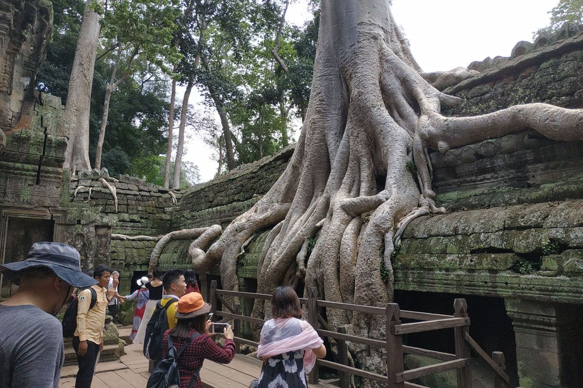 앙코르와트와 바이욘 & 타프롬, 반테이쓰라이 엑설런트 투어