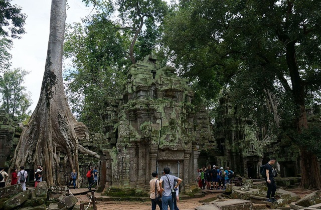 씨엠립 핵심 유적지 앙코르와트 & 타프롬 & 바이욘 투어