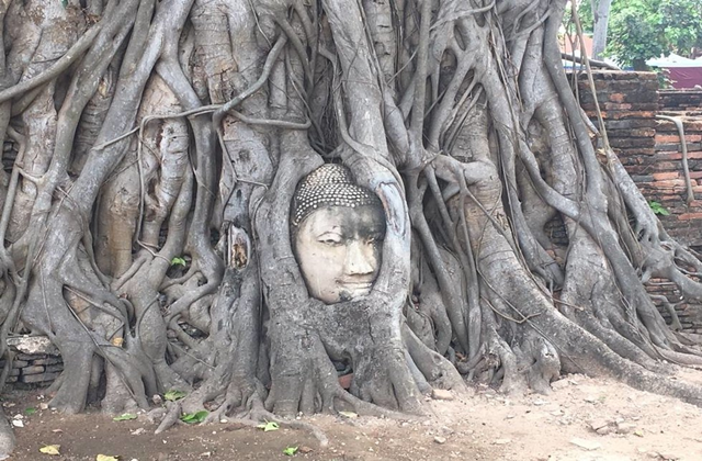 방콕 아유타야 집중탐구 단독 투어 (한국어 스타 가이드)