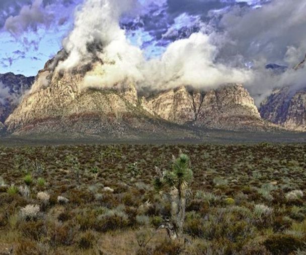 activity_detail_image