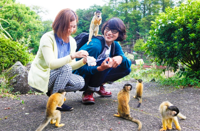 시즈오카 이즈 샤보텐 동물원 입장권