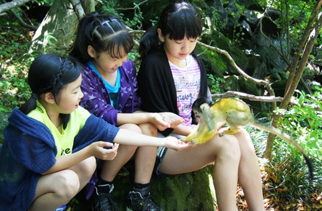 시즈오카 이즈 샤보텐 동물원 입장권