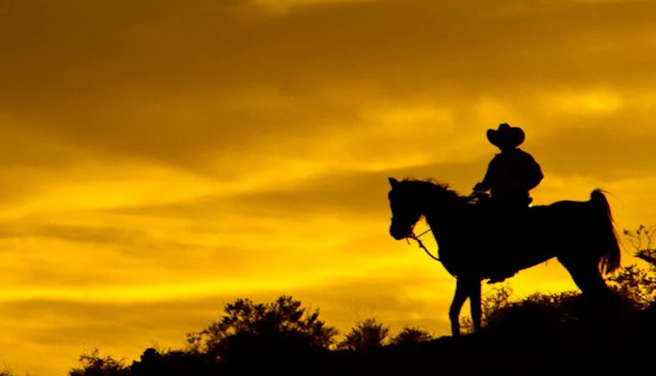 Wild West Sunset Horseback Riding & Dinner Tour