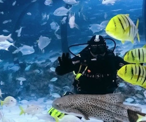 activity_detail_image