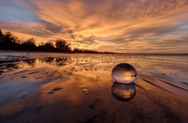 코타키나발루 멈바꿋 반딧불 투어