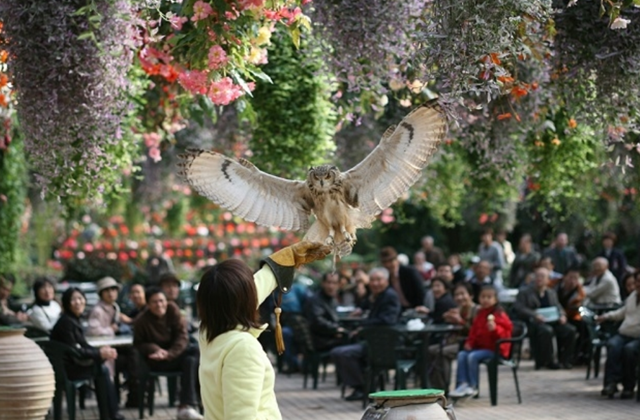 activity_detail_image