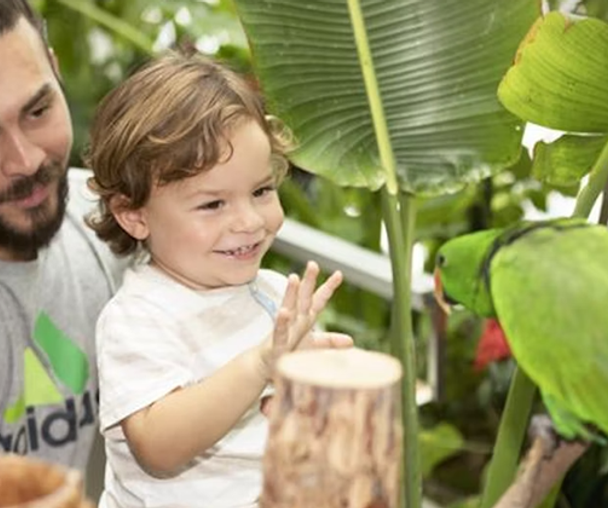 activity_detail_image