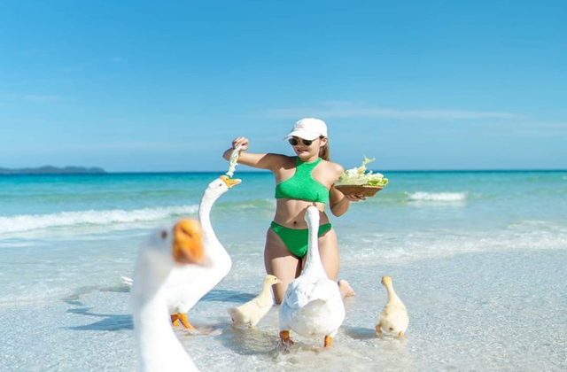 파타야 산호섬 인스타 일일 투어 (투명카약, 스노클링, 드론 촬영)