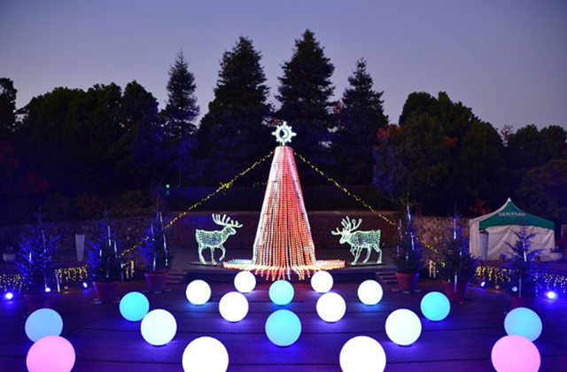 activity_detail_image