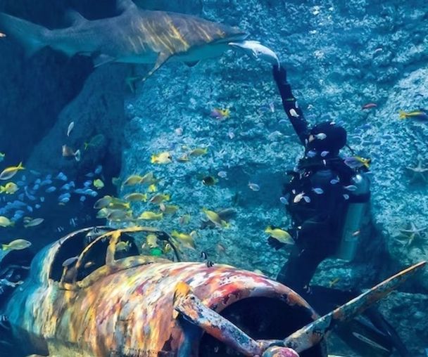 activity_detail_image