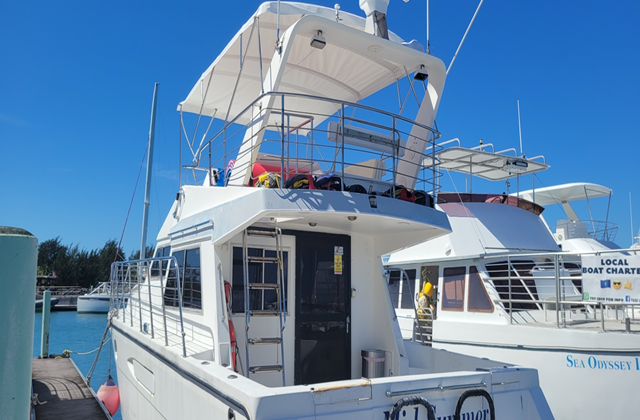 Guam Dolphin Cruise by Midsummer