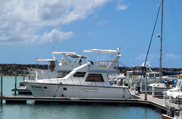 Guam Dolphin Cruise by Midsummer