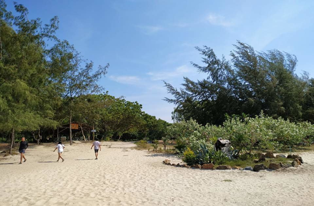 파타야 꼬사메산 청정 스노클링 단독 투어 (한국어 가이드)