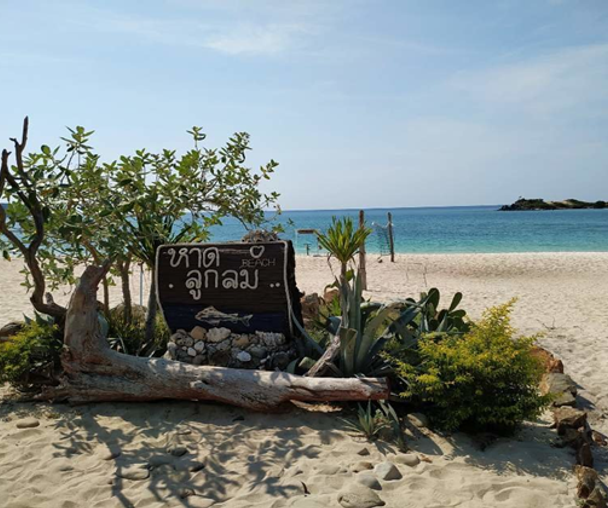 activity_detail_image