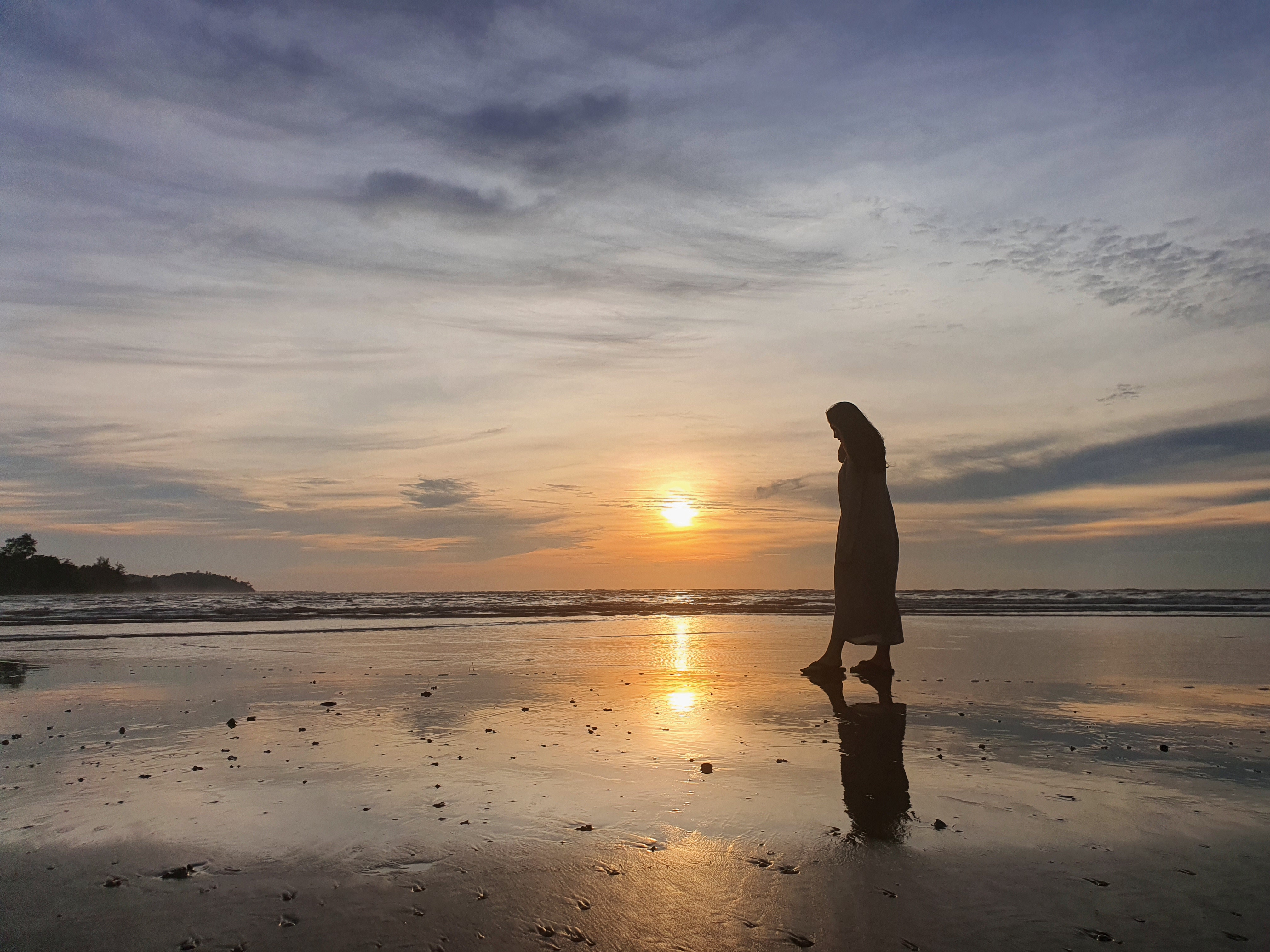 코타키나발루 리얼 정글 디나완 선셋 & 반딧불 투어 (시티투어 프로모션 진행)