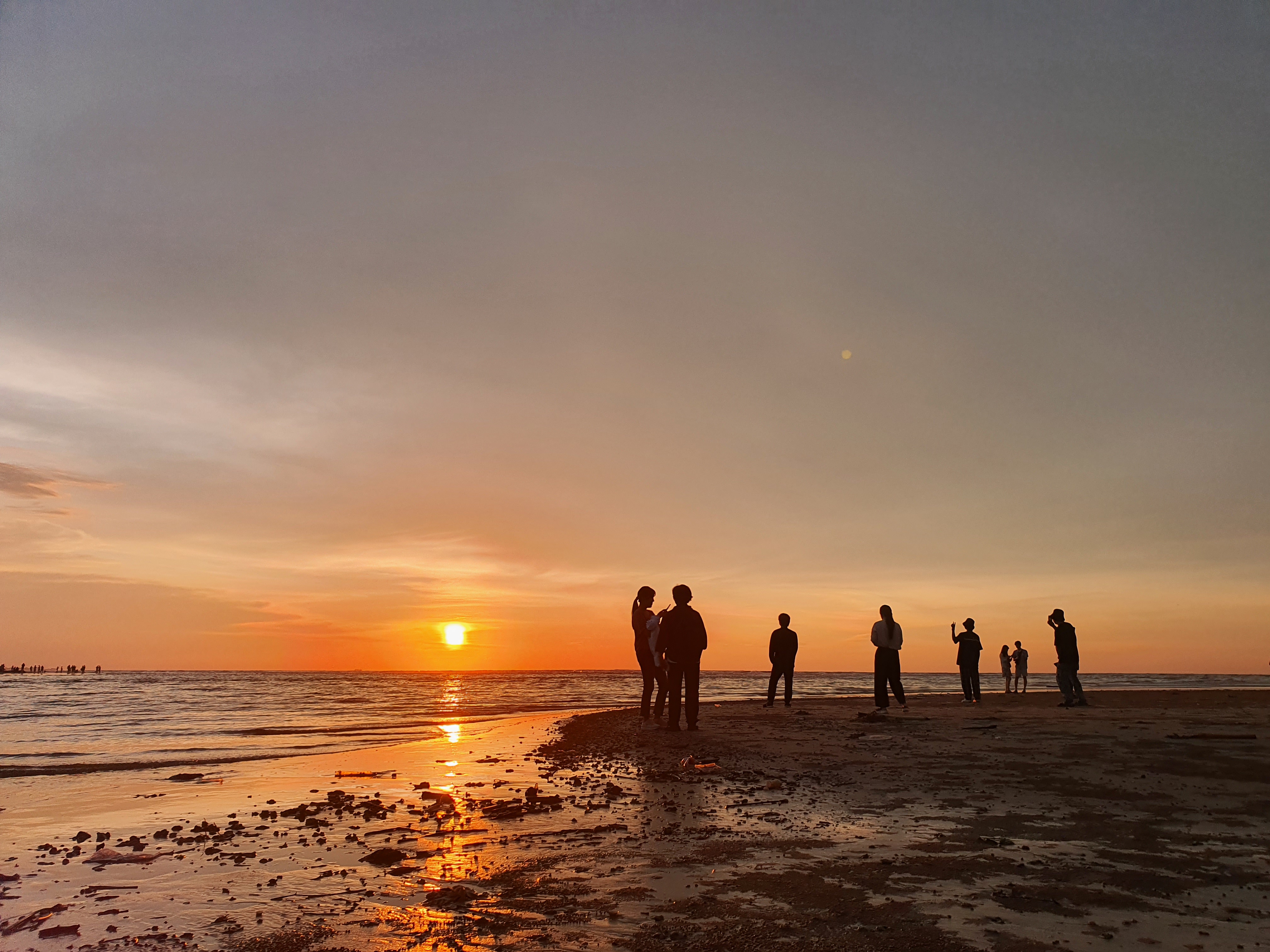 코타키나발루 리얼 정글 디나완 선셋 & 반딧불 투어 (시티투어 프로모션 진행)