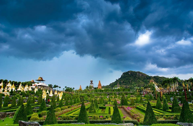 activity_detail_image