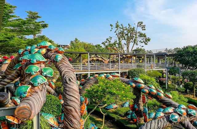 activity_detail_image