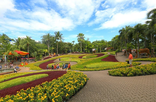 activity_detail_image