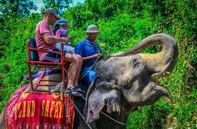 activity_detail_image