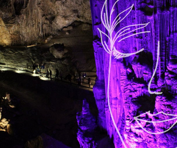 activity_detail_image