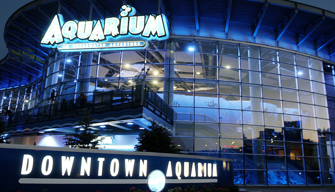 デンバー ダウンタウン水族館 入場チケット