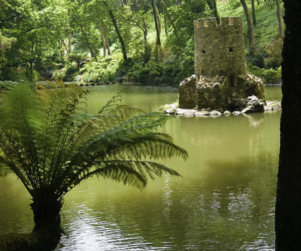 activity_detail_image