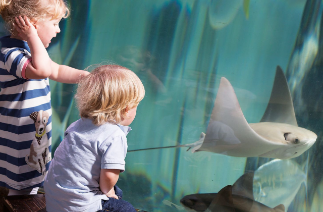 activity_detail_image