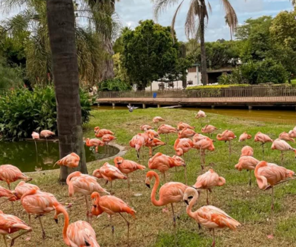 activity_detail_image