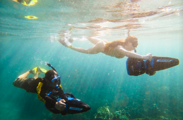 하와이 빅아일랜드 & 오아후 거북이 스노클링 투어 (항공권 포함)