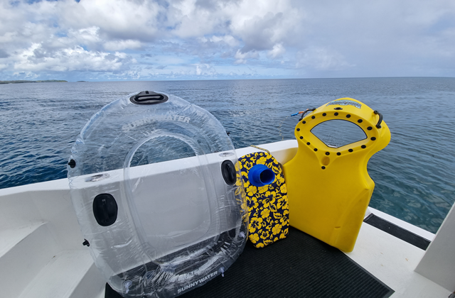 한국인 가이드 진행! 괌 돌핀크루즈 패키지