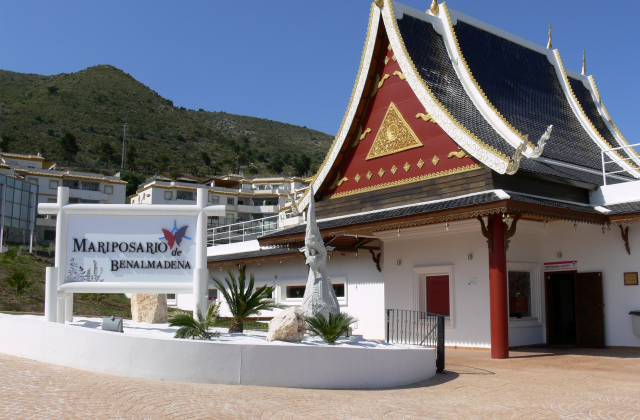 activity_detail_image