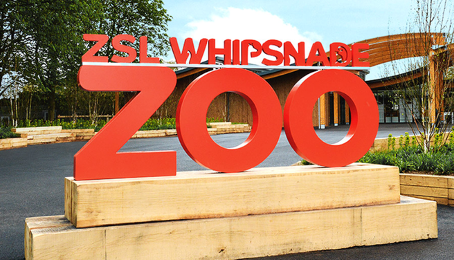 ZSL Whipsnade Zoo Ticket near London